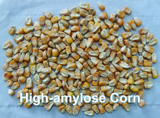 BEIJING YIGLEE TECH Resistant Starch High Amylose Maize Starch Soluble Dietary Fiber