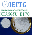RS2 High Amylose Corn Starch IEITG HAMS HI70 HAMS Modified Maise Starch