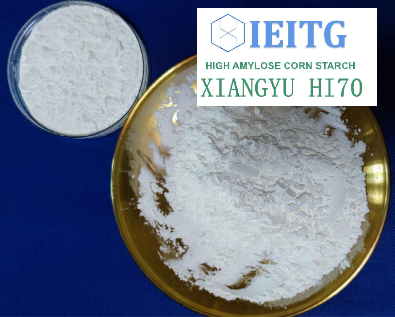 IEITG Corn Resistant Starch Glycemic Index High Amylose Modified HAMS HI70